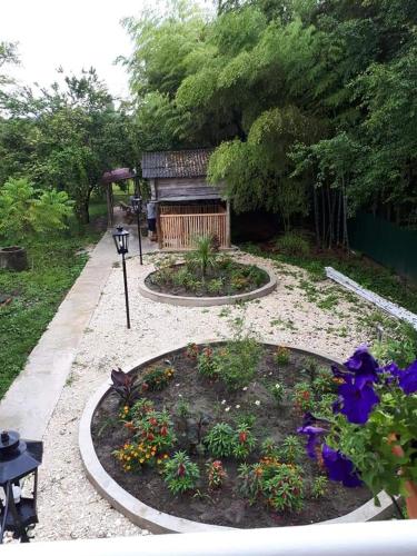 a garden with a small garden with flowers in it at Guesthouse Luka in Martvili