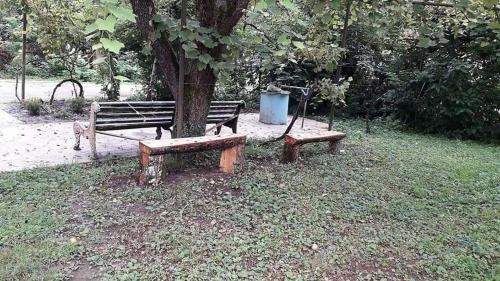 two park benches sitting next to a tree at Guesthouse Luka in Martvili