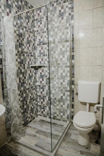 a bathroom with a toilet and a glass shower at Pansion Fočin Han in Sarajevo
