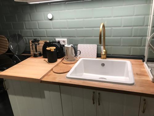 um balcão de cozinha com um lavatório na cozinha em Harry's Apartment em Erfurt