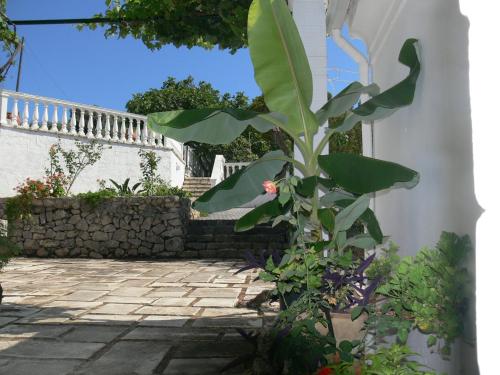 Κήπος έξω από το Villa Quietude - Exceptional Corfu Escape with Private Sunset Pool