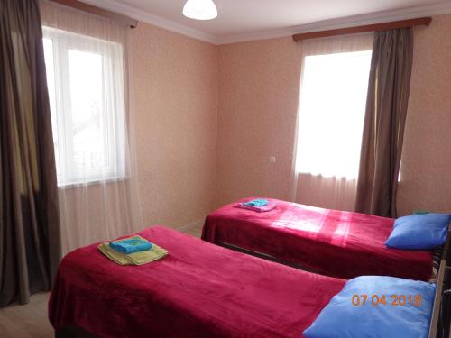a room with two beds with red sheets and a window at My home udabno in Udabno