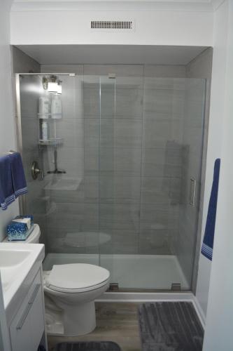 een badkamer met een douche, een toilet en een wastafel bij Stafford Lake House in McHenry