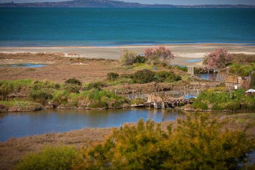 a body of water with a beach and the ocean at Koronisia Apartments in Koronisia