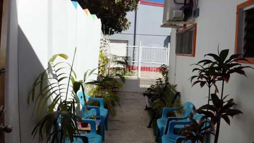 a hallway with blue chairs and plants in a building at Hostel Room Aruba in Oranjestad