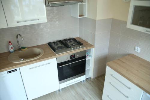 Il comprend une petite cuisine équipée d'une cuisinière et d'un évier. dans l'établissement ALIBI Apartament Boleslawiec, à Bolesławiec