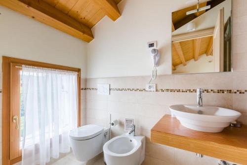 a bathroom with a sink and a toilet and a mirror at Tenuta Sant'Eufemia in San Pietro di Feletto