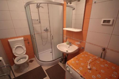 a bathroom with a shower and a toilet and a sink at Sonja-Dajla Apartments in Dajla