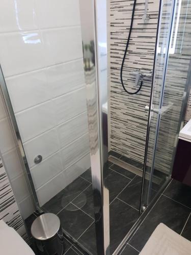 a shower with a glass door in a bathroom at Ana Tudor Apartments in Hvar