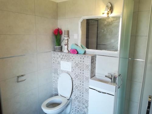 a bathroom with a toilet and a sink and a mirror at Guesthouse Porec in Poreč