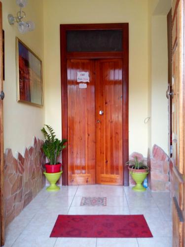 a wooden door in a room with two potted plants at B&B Vista Fiume in Bosa