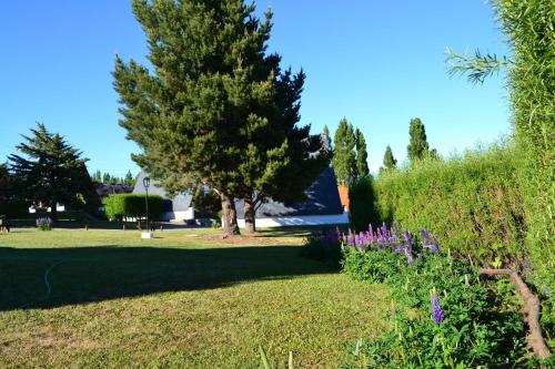 a park with a tree and some purple flowers at Cabañas Nevis, excelente ubicación in El Calafate