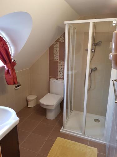 a bathroom with a shower with a toilet and a sink at Duna Panzió in Győr