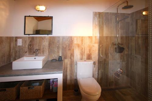 a bathroom with a toilet and a sink and a shower at GITE L'ATELIER in Palus