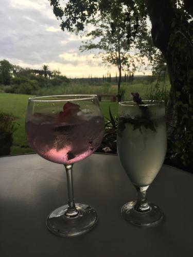 two glasses of wine sitting on a table at Gerald's Gift Guest House in Addo