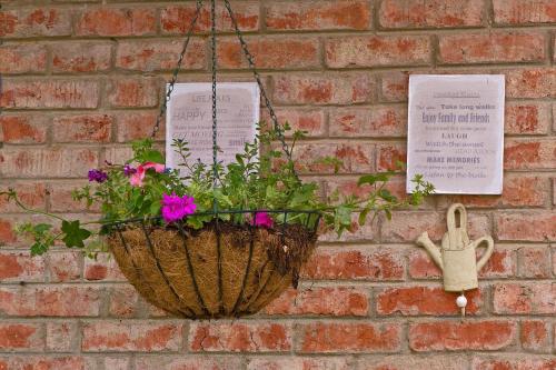 a flower basket hanging on a brick wall at Gerald's Gift Guest House in Addo