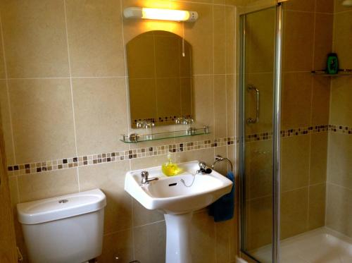 a bathroom with a toilet and a sink and a shower at Cnoc Breac B&B in Cleggan