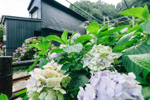a garden with pink and white flowers in front of a building at Villa Kamakura in Kamakura