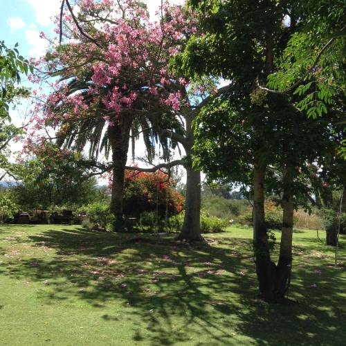 a park with trees with pink flowers on it at Gerald's Gift Guest House in Addo