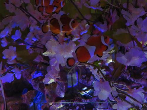 a vase filled with flowers with blue lights at Hotel AQUA Blue Yokosuka (Adult Only) in Yokosuka