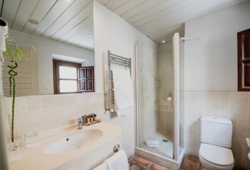 a bathroom with a tub and a toilet and a sink at Palacio De Los Navas in Granada