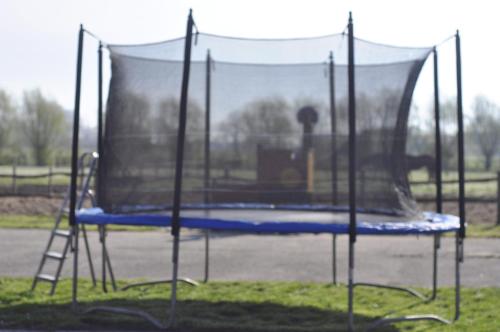 a blue trampoline in a park with aermottermott at Wilgenwind in Sijsele