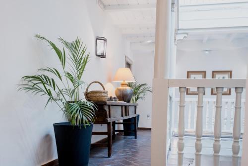 a hallway with a table with a plant and a lamp at Palacio De Los Navas in Granada