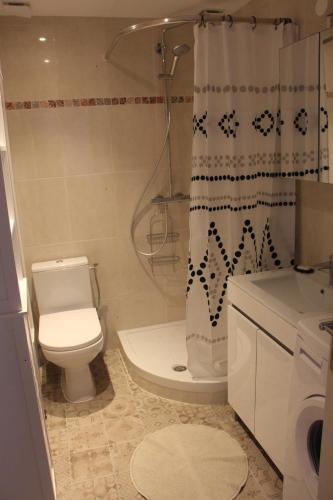 une salle de bain avec toilettes et rideau de douche dans l'établissement Superbe T2 3 étoiles à 200m des thermes - RDC, à Lamalou-les-Bains