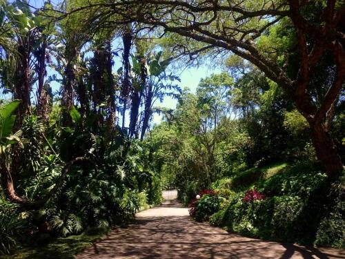 a path through a park with trees and bushes at Africa's Eden Guesthouse in Pietermaritzburg