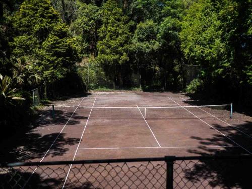 a tennis court with trees in the background at Africa's Eden Guesthouse in Pietermaritzburg