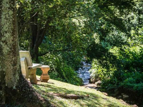 a park bench sitting under a tree next to a river at Africa's Eden Guesthouse in Pietermaritzburg