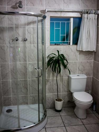 a bathroom with a shower and a toilet and a plant at Africa's Eden Guesthouse in Pietermaritzburg