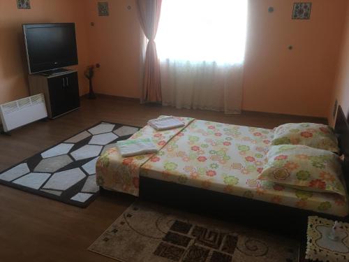 a bedroom with a bed and a flat screen tv at Vila la Izvorul Putinei in Haţeg