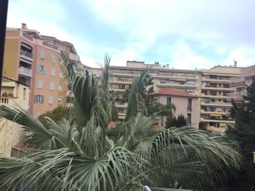 Lovely Apartment in Mention French Riviera