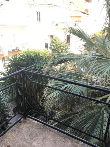 a balcony with a iron fence and palm trees at Lovely Apartment in Mention French Riviera in Menton