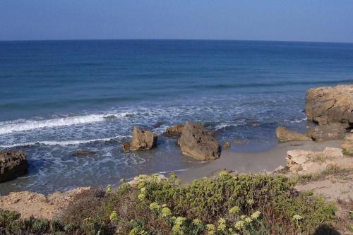 Funtana Meiga的住宿－Monolocale a 200 metri dal mare，一片拥有岩石和海洋的海滩