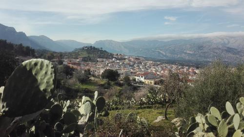 a view of a town from a hill with a cactus at B&B Bella Vista in Dorgali