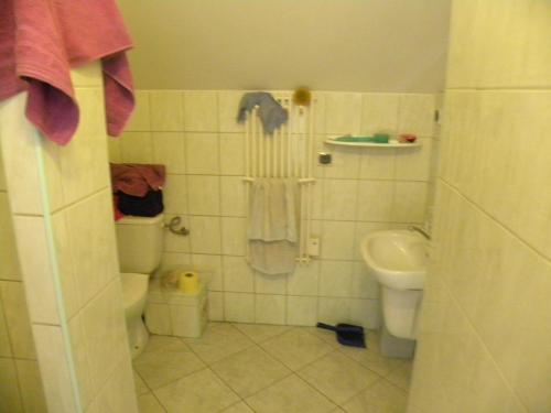 een kleine badkamer met een toilet en een wastafel bij Stajnia Grazyny Mikorowo 46 in Czarna Dąbrówka