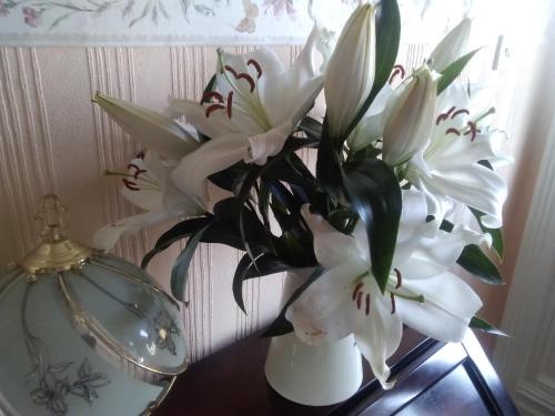 a white vase filled with white flowers on a table at Beechlands B & B in Whitby