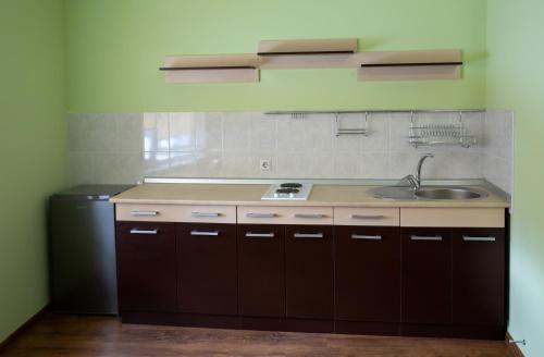 Kuchyň nebo kuchyňský kout v ubytování Hotel Complex Olimp
