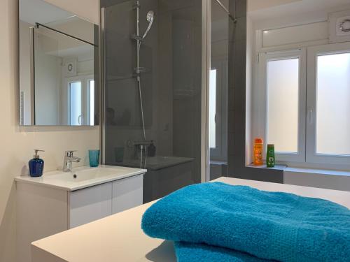 a bathroom with a sink and a blue towel at Esprit Studio sur plateau central in Clermont-Ferrand