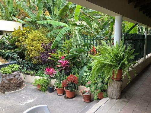 Сад в Ribeira Grande Country House