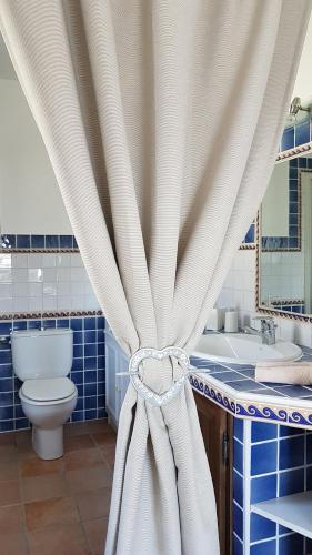 a bathroom with a sink and a toilet and a curtain at Provence Dodo in Villeneuve