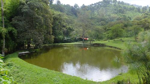 a pond in the middle of a field with trees at Soñarte Reserva Natural in Córdoba