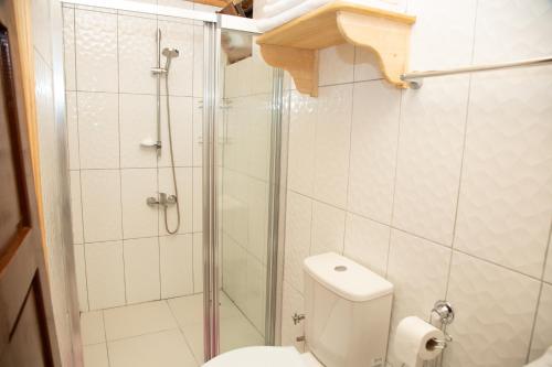 a bathroom with a toilet and a glass shower at Kara Kedi Beach Bungalow in Cıralı