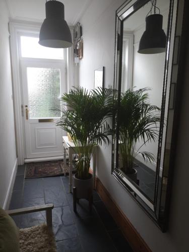 a hallway with a mirror and a table with plants at Homestay in Poole