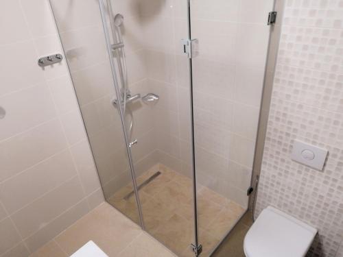 a shower stall with a toilet in a bathroom at Apartments AS Dubrave in Dubrave Gornje