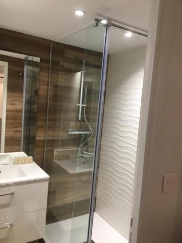 La salle de bains est pourvue d'une douche en verre et d'un lavabo. dans l'établissement Les Appartements de Home Petite Venise, à Colmar