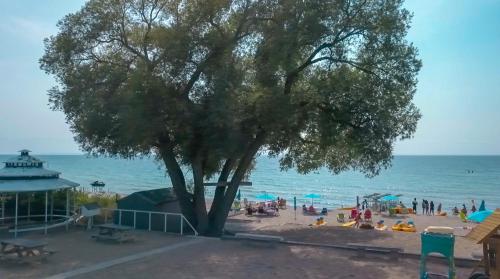 SunPort Beach Resort – Photos 2