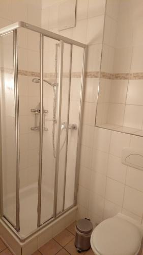 a bathroom with a shower and a toilet at Kurparkstübl Bad Schandau in Bad Schandau